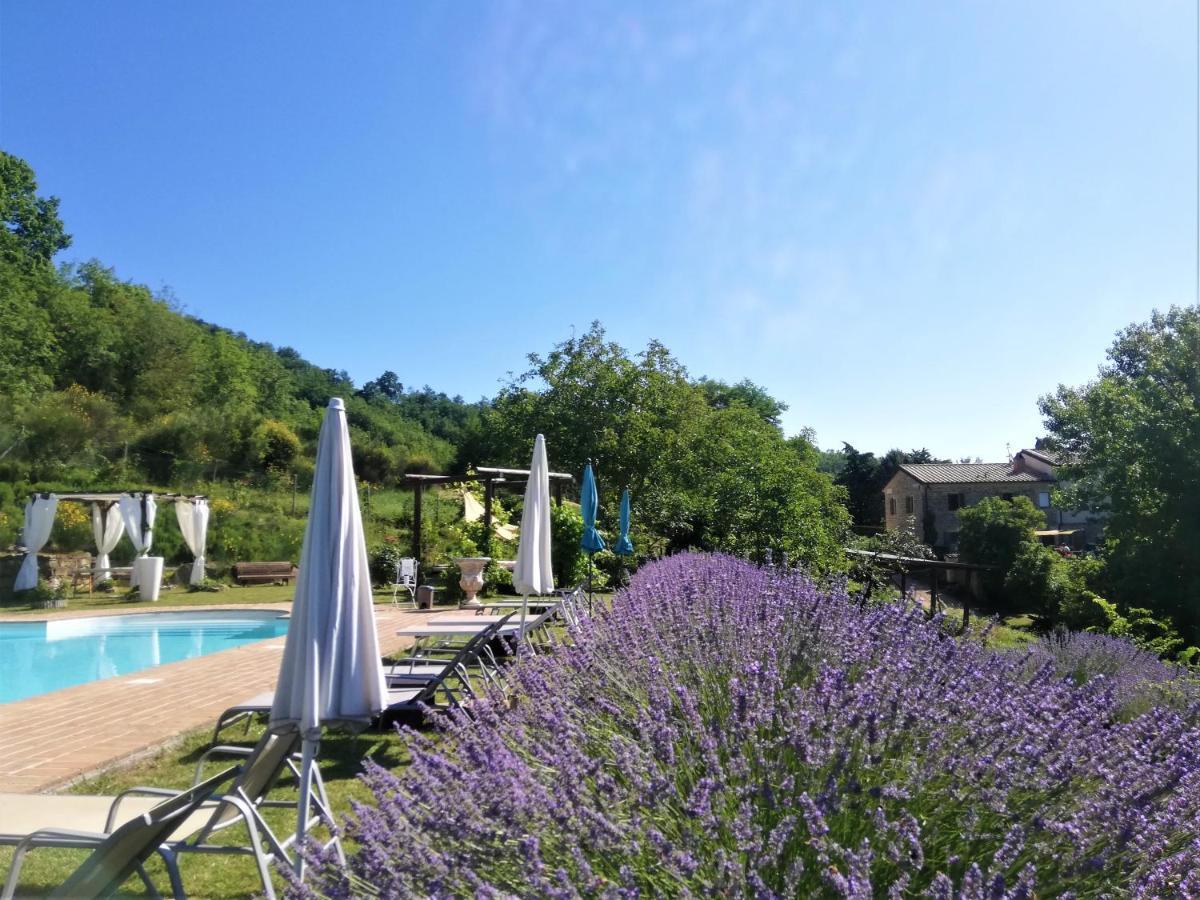 Le Ginestre Apartments Assisi Exterior foto